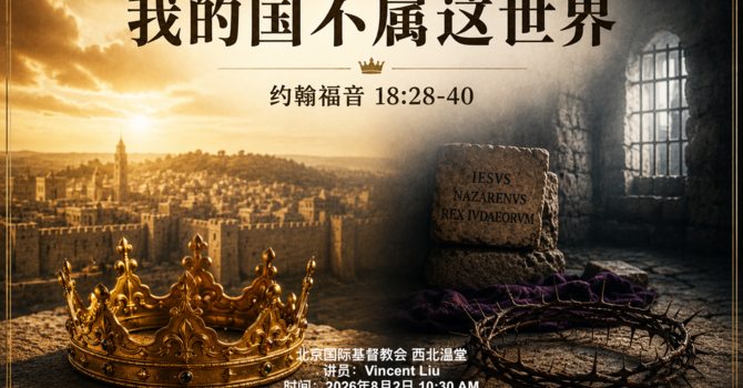 我的国不属这世界