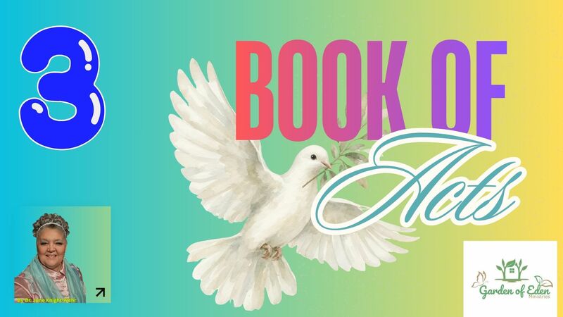 Book of Acts Episode 3 - Acts 3