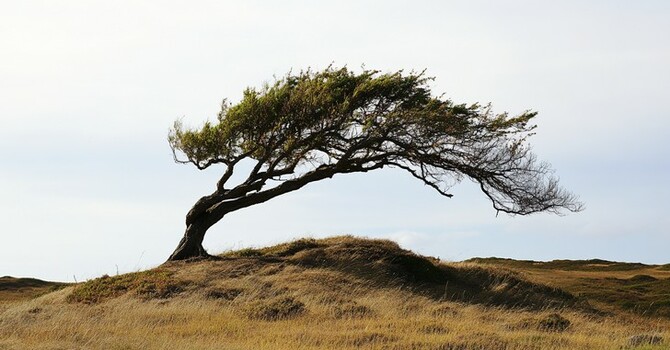 Bent but not Broken