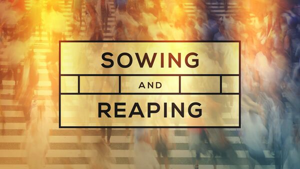 Sowing & Reaping