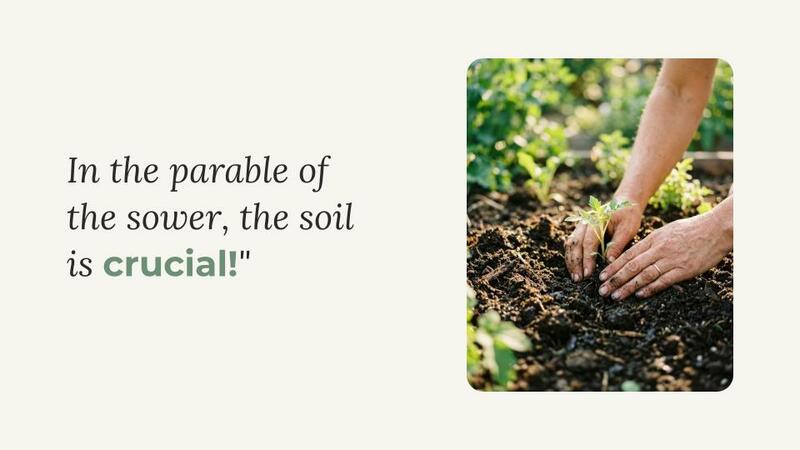 Tending the Soil