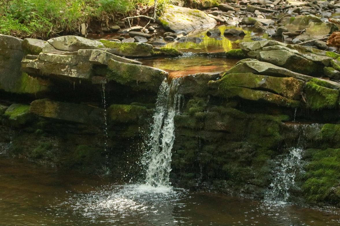Slideshow image
