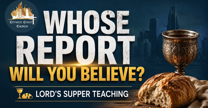 WHOSE REPORT WILL YOU BELIEVE?