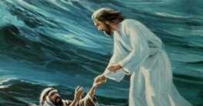 “Blessed in the Struggle”