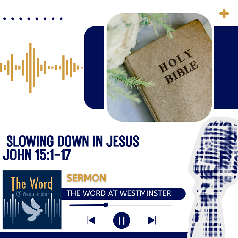 Slowing Down in Jesus.