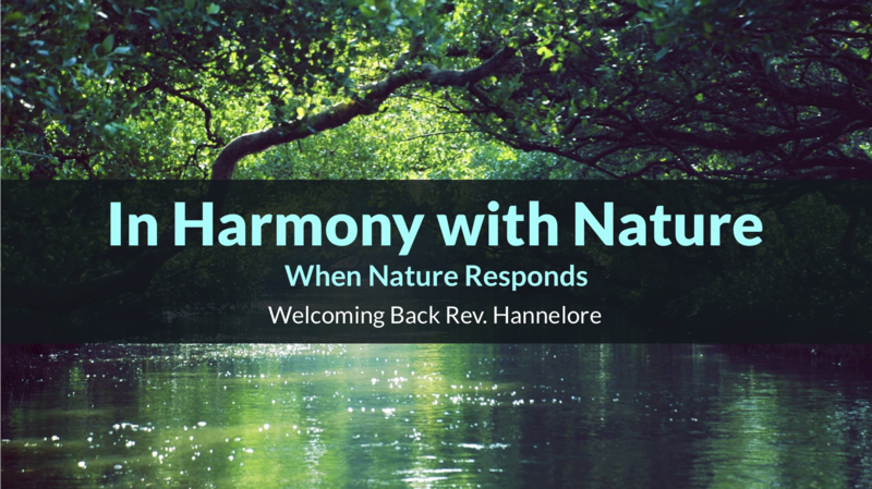 In Harmony with Nature