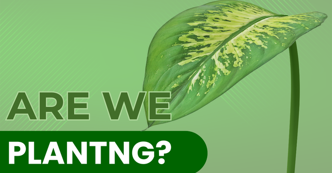 Are We Planting?