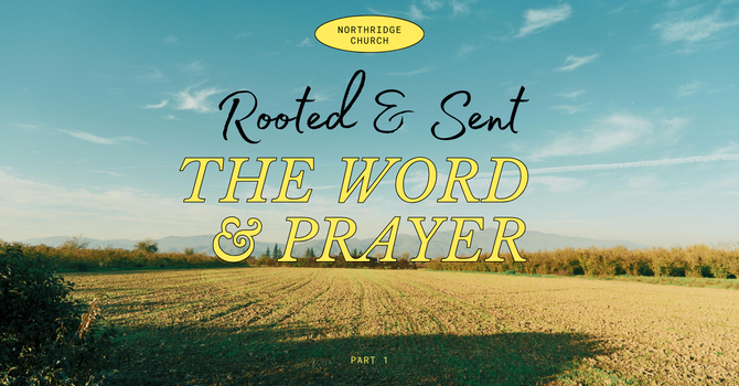 Rooted & Sent pt1