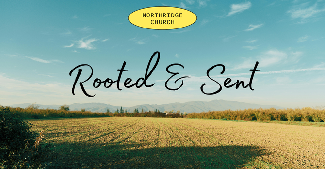 Rooted & Sent 