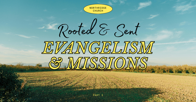 Rooted & Sent pt3