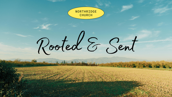 Rooted & Sent
