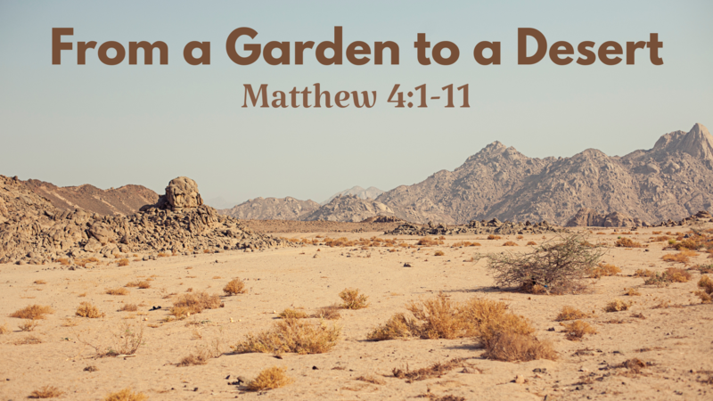 From A Garden to A Desert