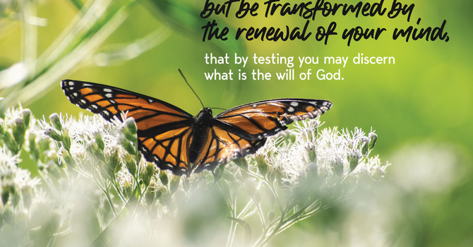 Fully Alive: From Distraction to Attention