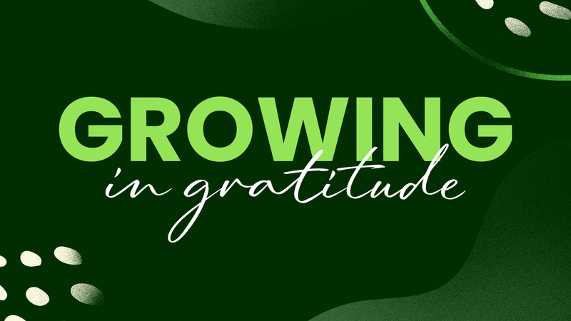 Growing in Gratitude, Part 10