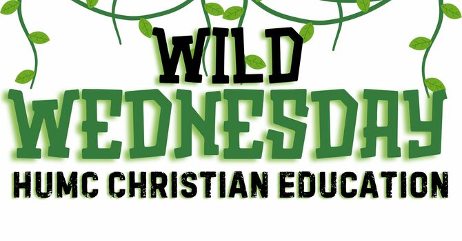 Wild Wednesday Children's Ministry