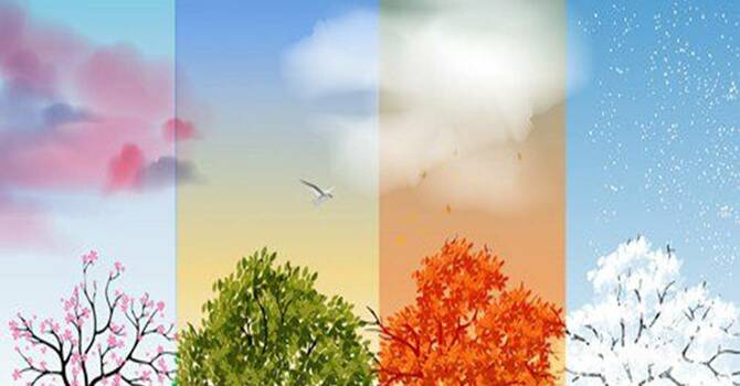 Seasons of Life: Loneliness