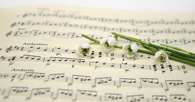Sing for Peace: Community Singing Group