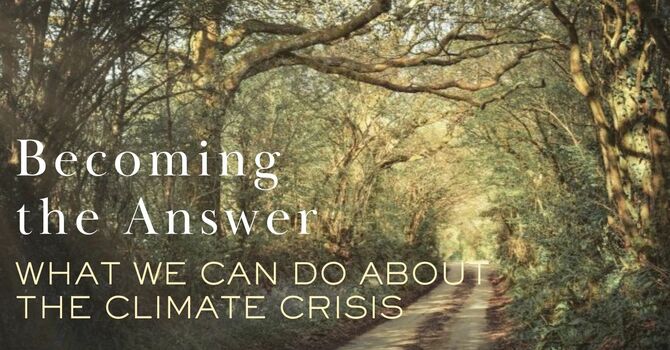 Becoming The Answer