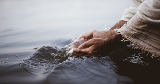 Church Picnic & Baptism Renewal 