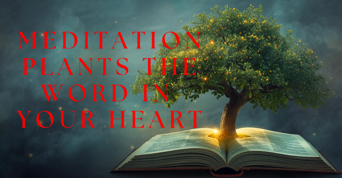 Meditation Plants the Word in Your Heart image