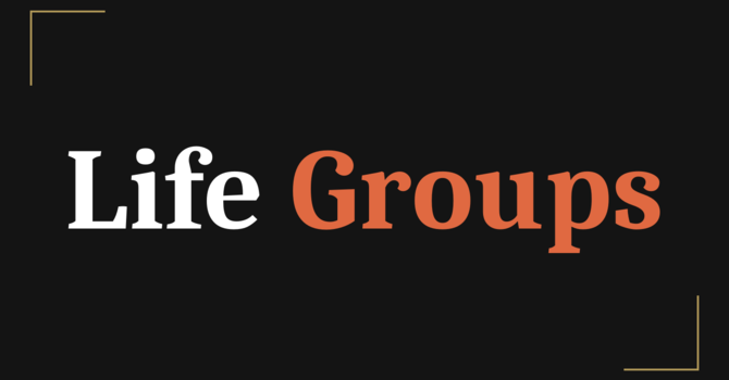 Life Groups