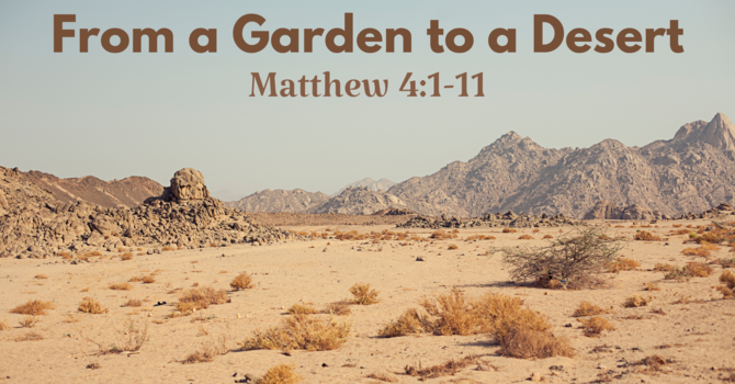 From A Garden to A Desert