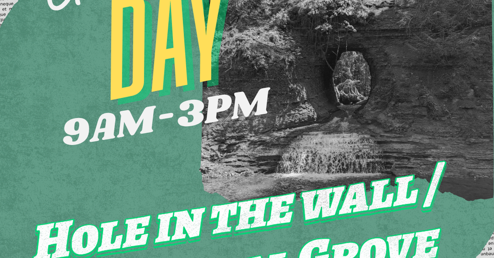 Adventure Days: Hole in the Wall/Cathedral Grove