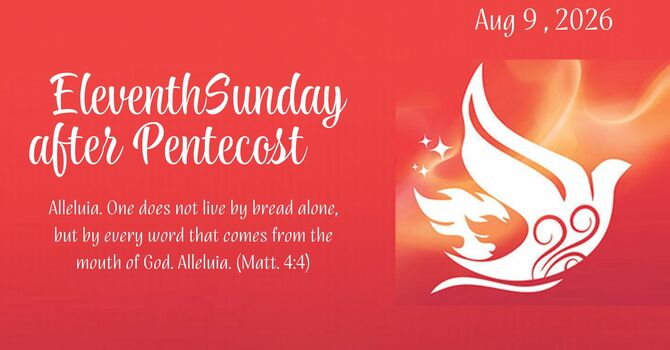 Eleventh Sunday after Pentecost image