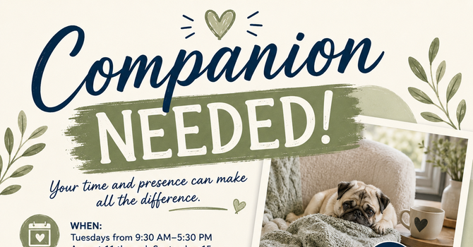 Companion Needed for Darlene Rooney image