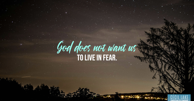“FEAR’S ANTIDOTES” image