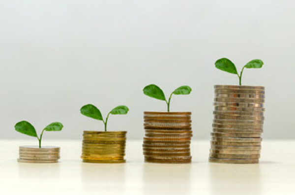 Semi Annual Financial Report as of June 30th