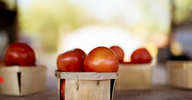 Harvest Rogation Sundays image