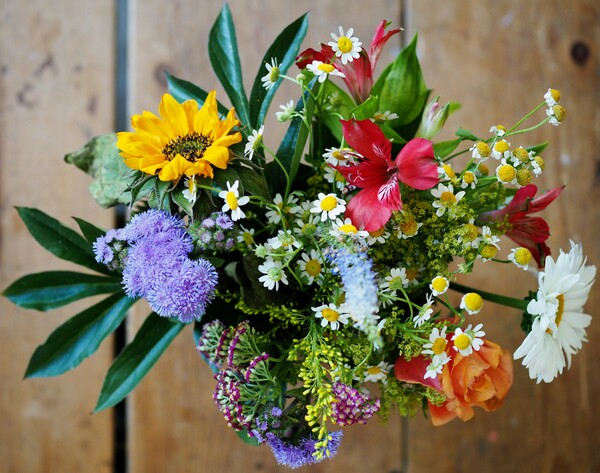 Gracing Our Sanctuary: This Week's Floral Gifts