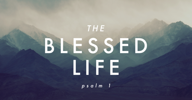 The Blessed Life