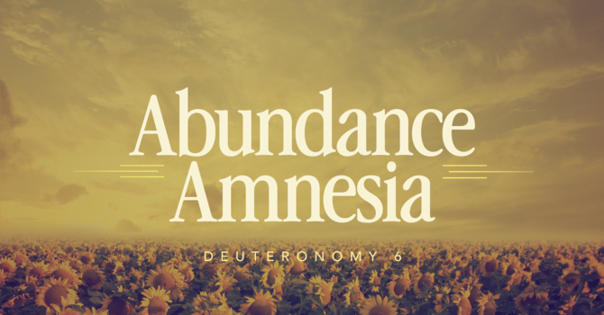 Abundance Amnesia
