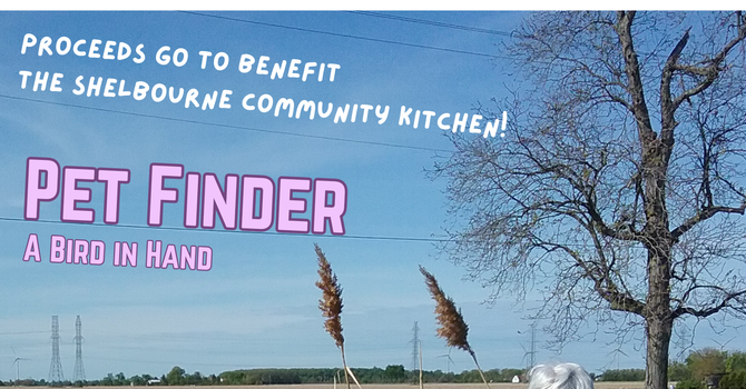 Pet Finder - Theatre Performance