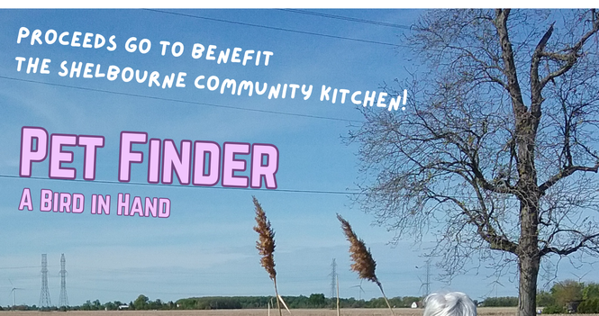 Pet Finder - Theatre Performance