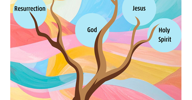 Members of One Body In Christ