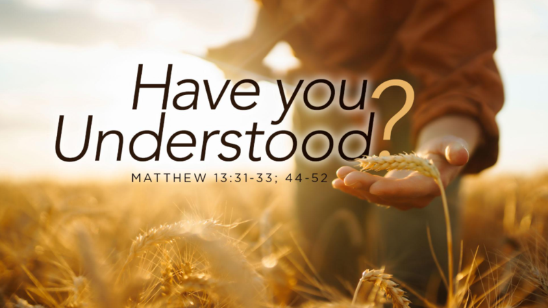 Have You Understood ?