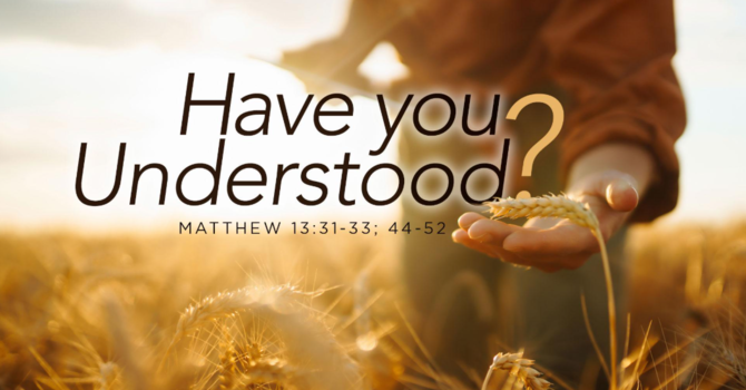Have You Understood ?