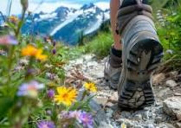  Take a Hike With Pastor Rebecca ~ Wednesday, August 12th