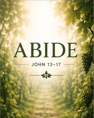 Abide