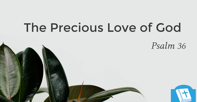 The Precious Love of God