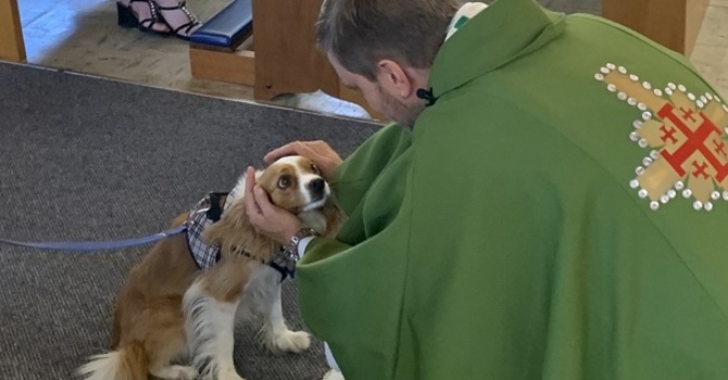 Blessing of Animals Service