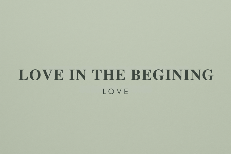 Love In The Begining