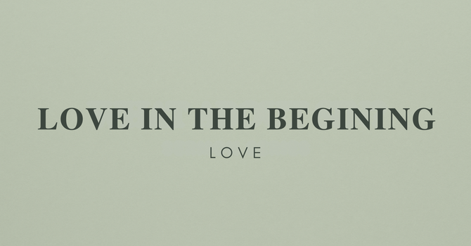 Love In The Begining