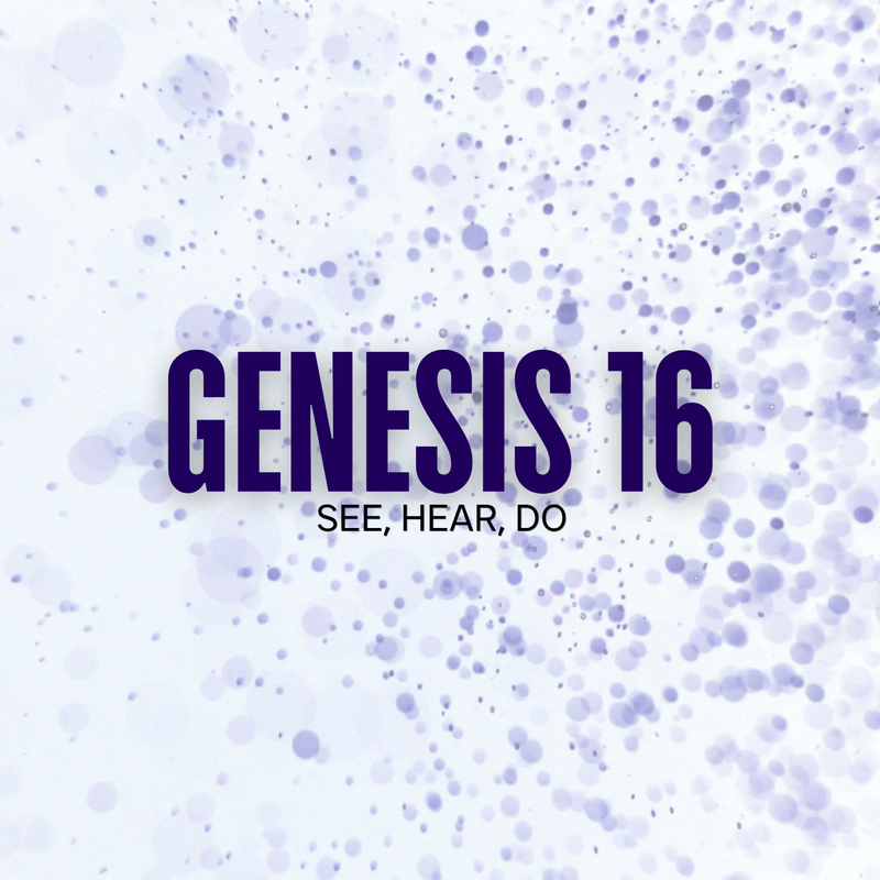 Genesis 16
