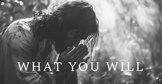 What You Will