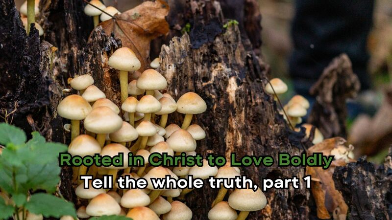 Tell the Whole Truth, part 1