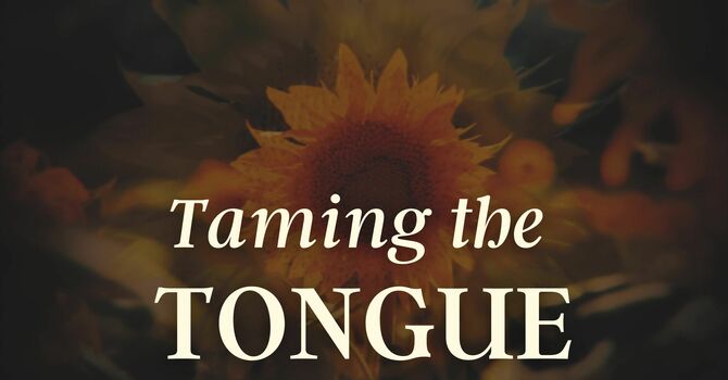 Taming the Tongue